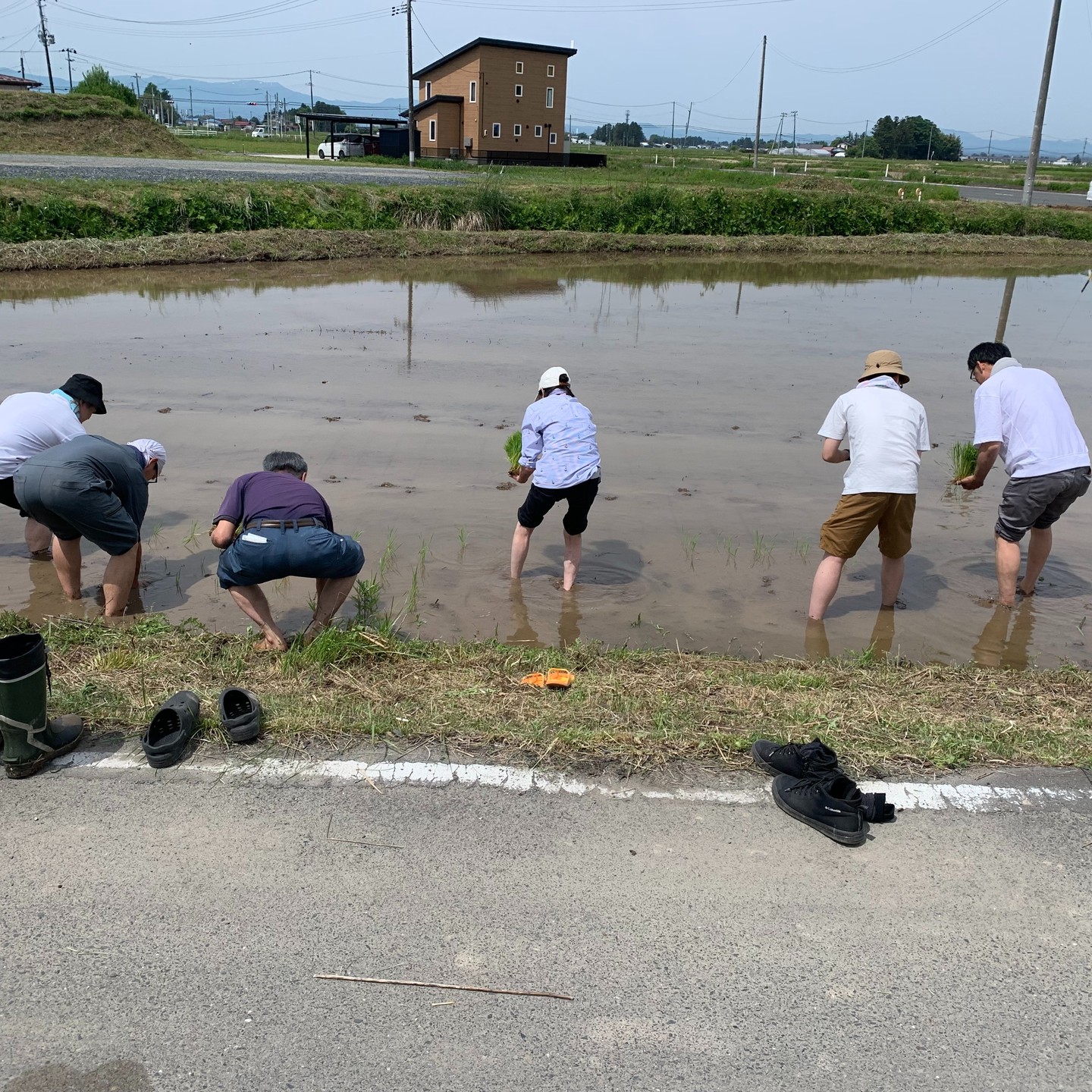 美里町｜あぐりーんみやぎ