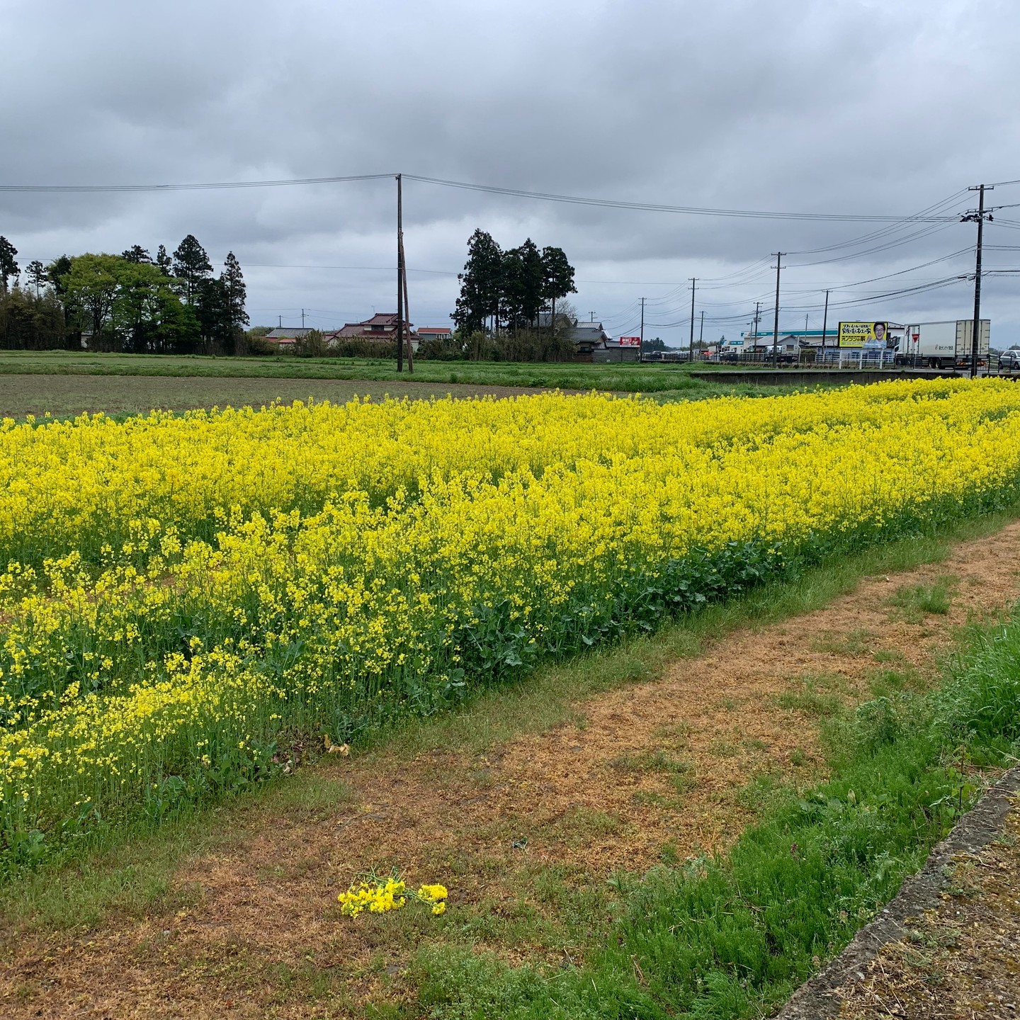 美里町｜あぐりーんみやぎ