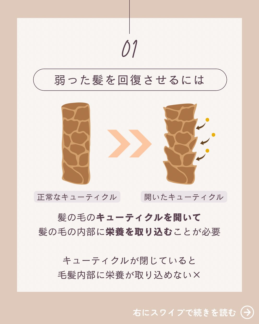 美里町｜Branche（ブランシェ）