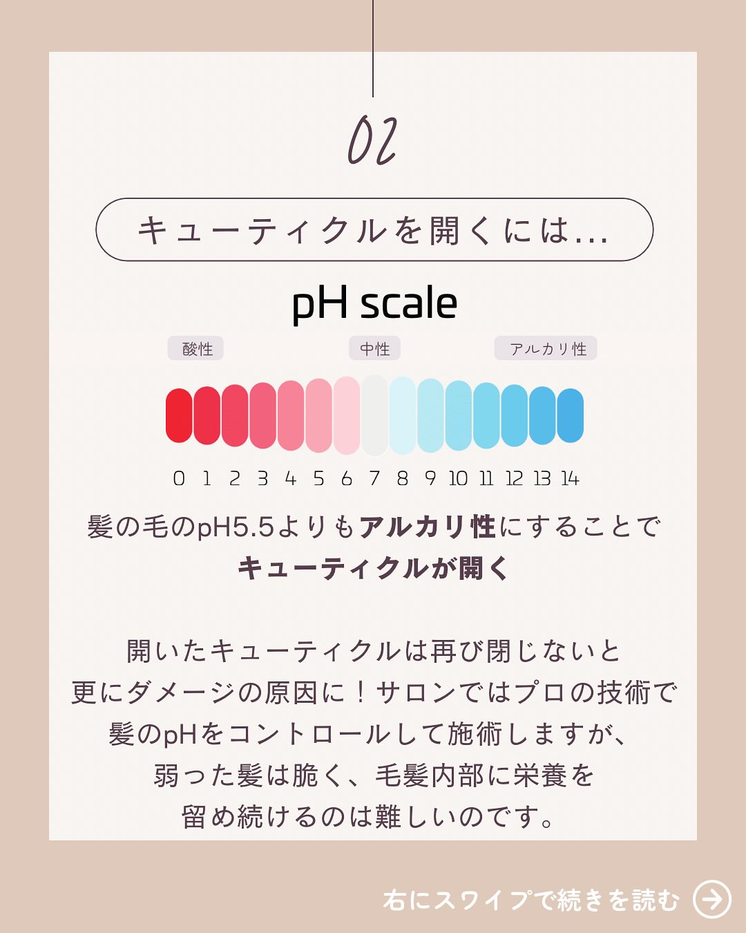 美里町｜Branche（ブランシェ）