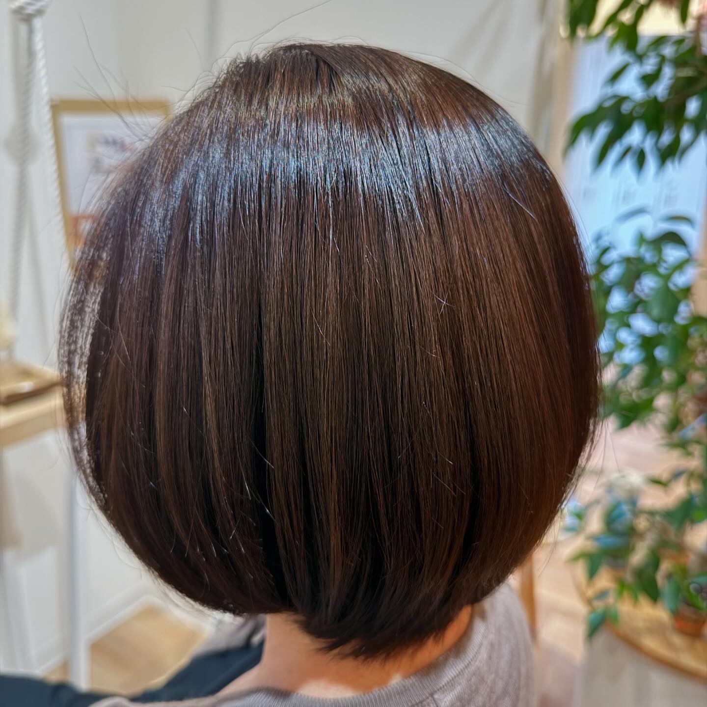 美里町｜Branche（ブランシェ）
