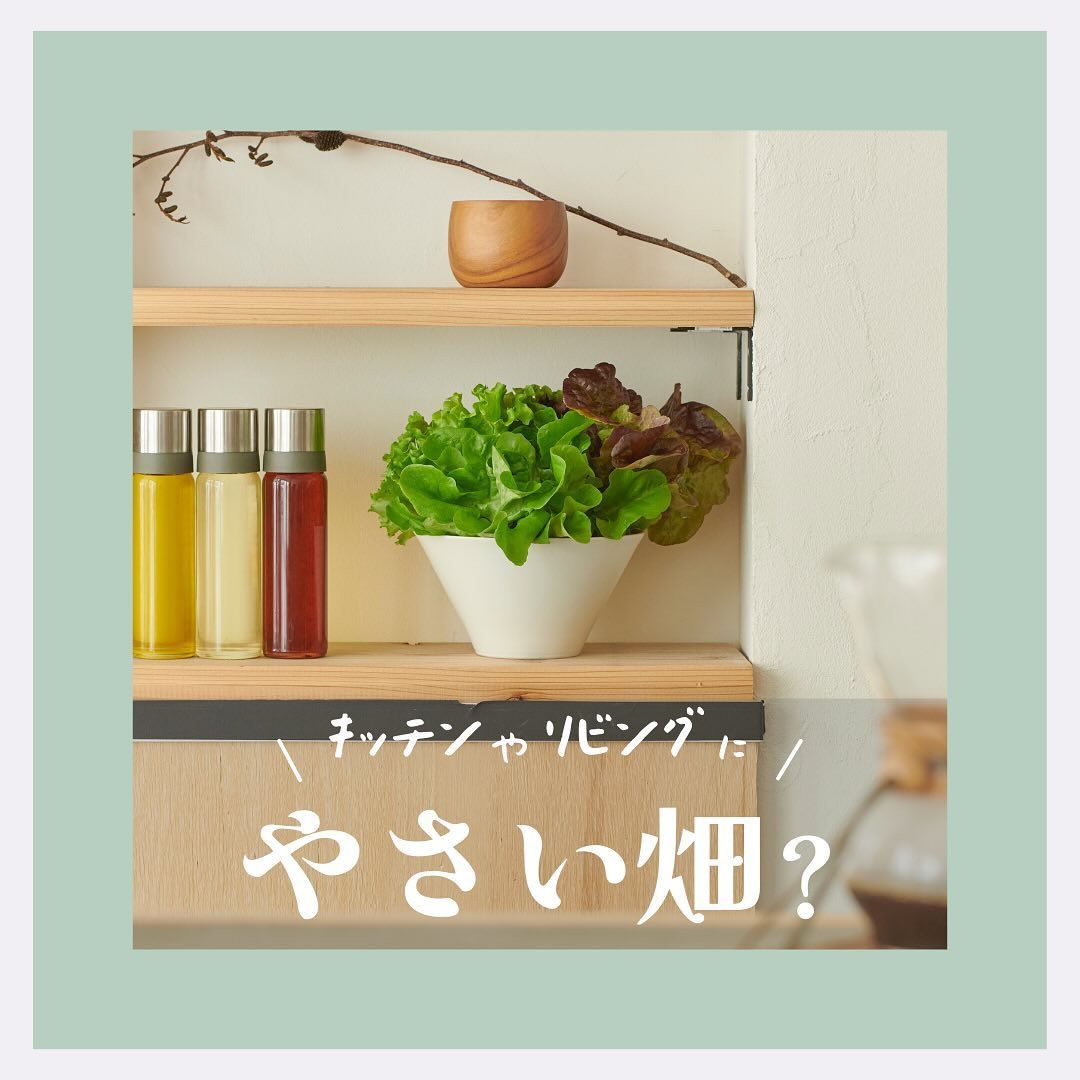 美里町｜サラダグラム