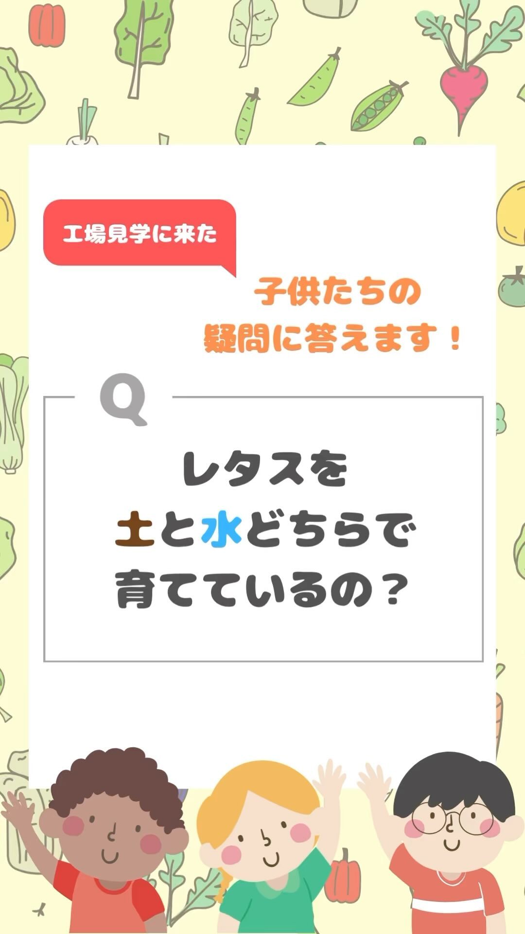 美里町｜サラダグラム