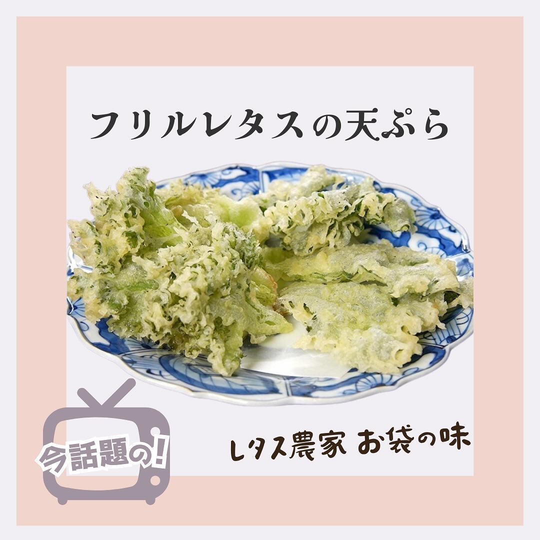 美里町｜サラダグラム