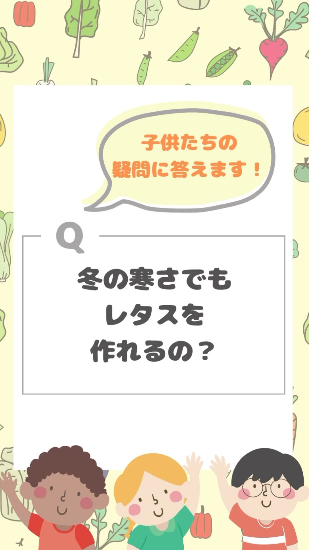 美里町｜サラダグラム