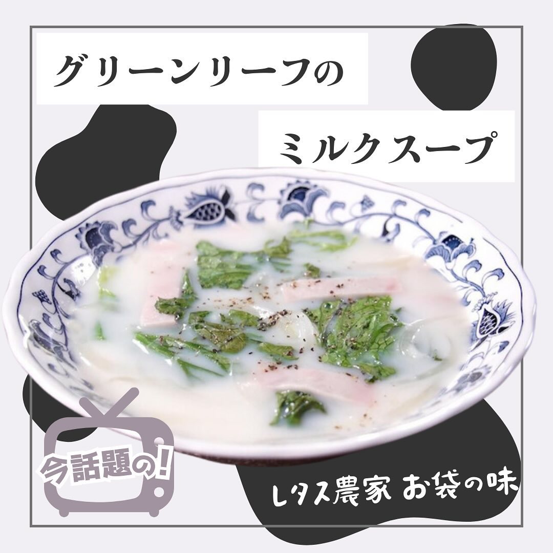 美里町｜サラダグラム