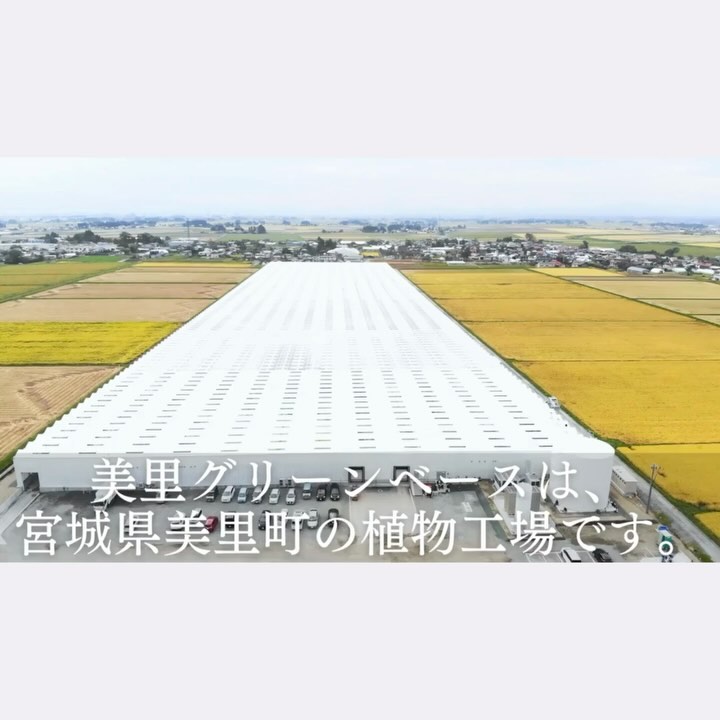 美里町｜サラダグラム