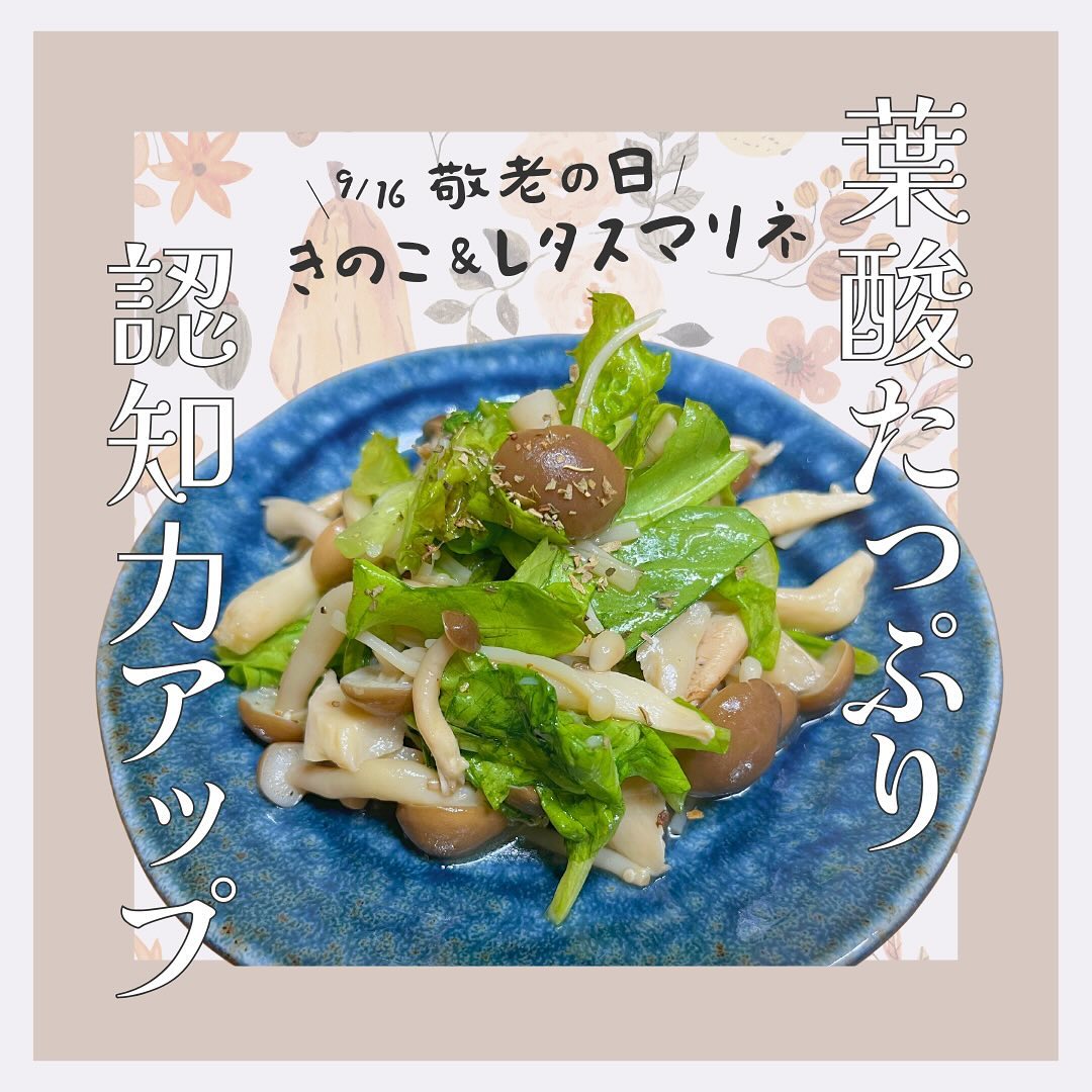 美里町｜サラダグラム