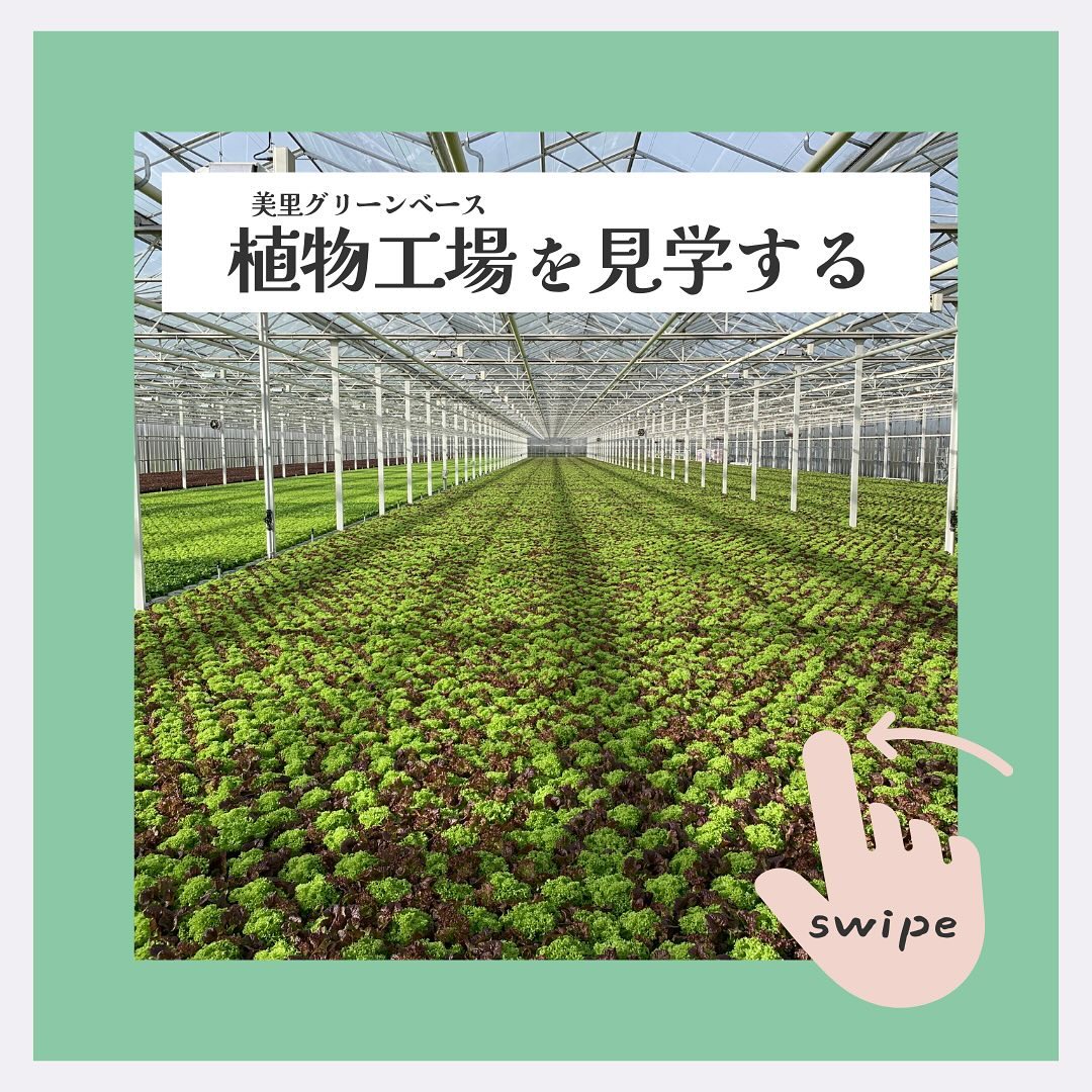 美里町｜サラダグラム