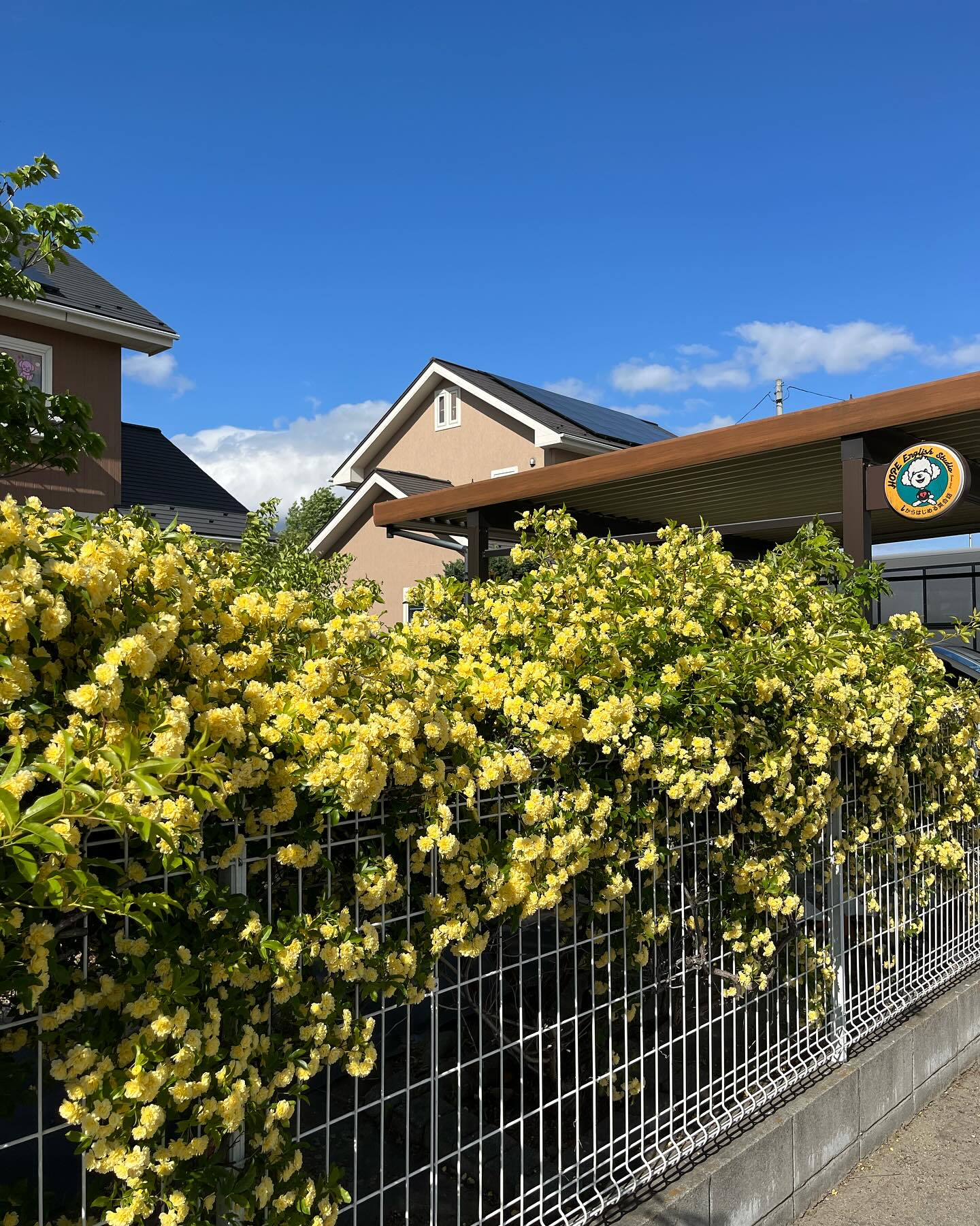 美里町｜Hope English Studio