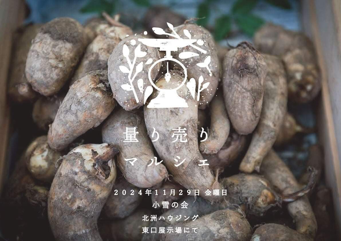 美里町｜鎌田味噌醤油店