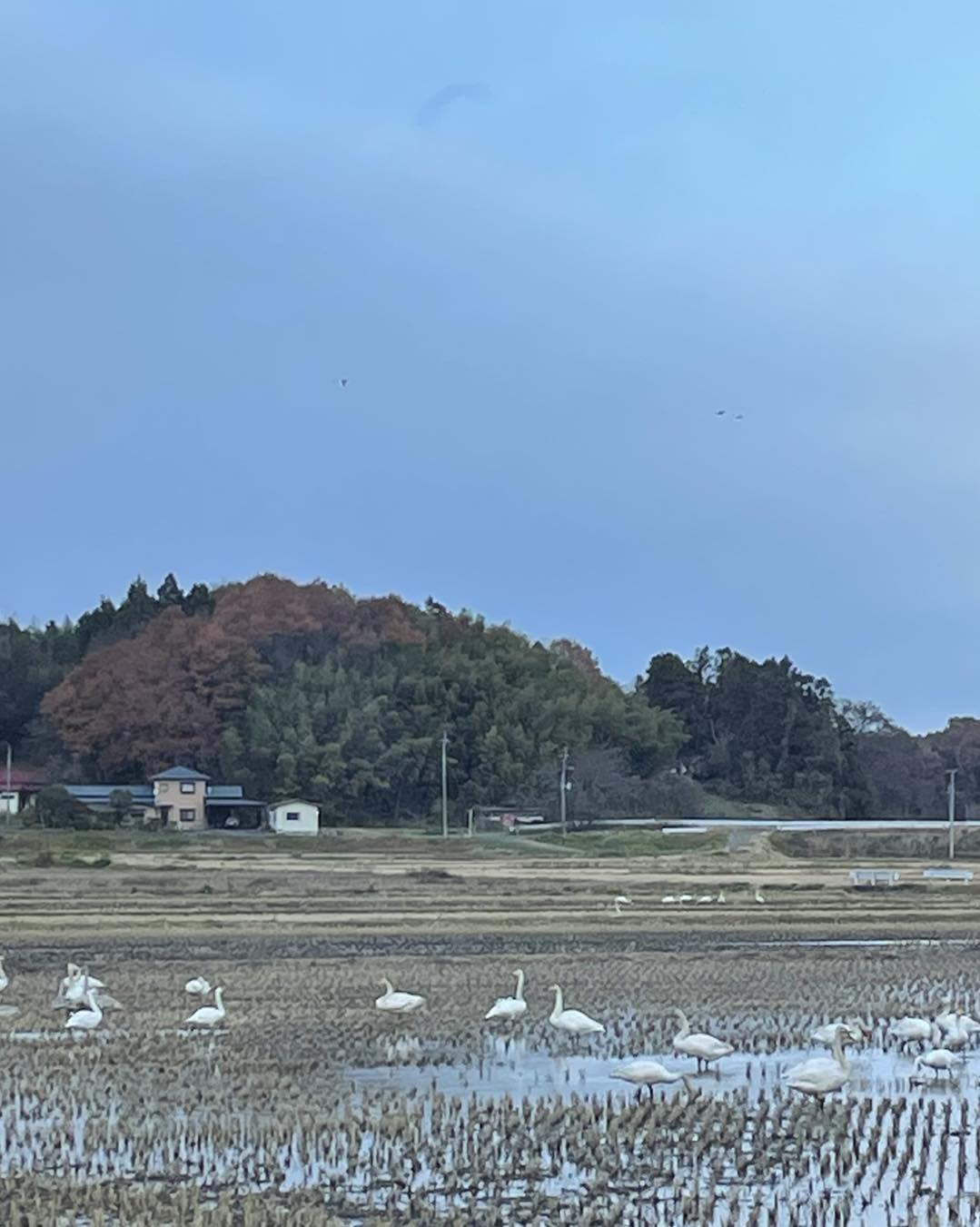美里町｜宮城県美里町産業振興課