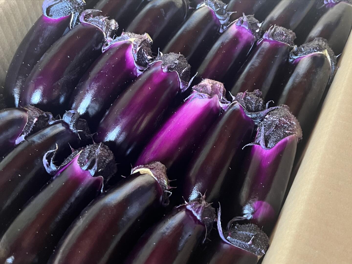 美里町｜らーめん★HIBARI★ひばり