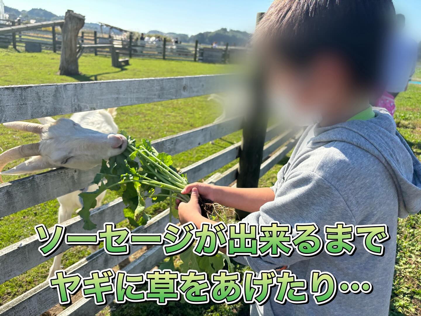 美里町｜シェアワークス美里