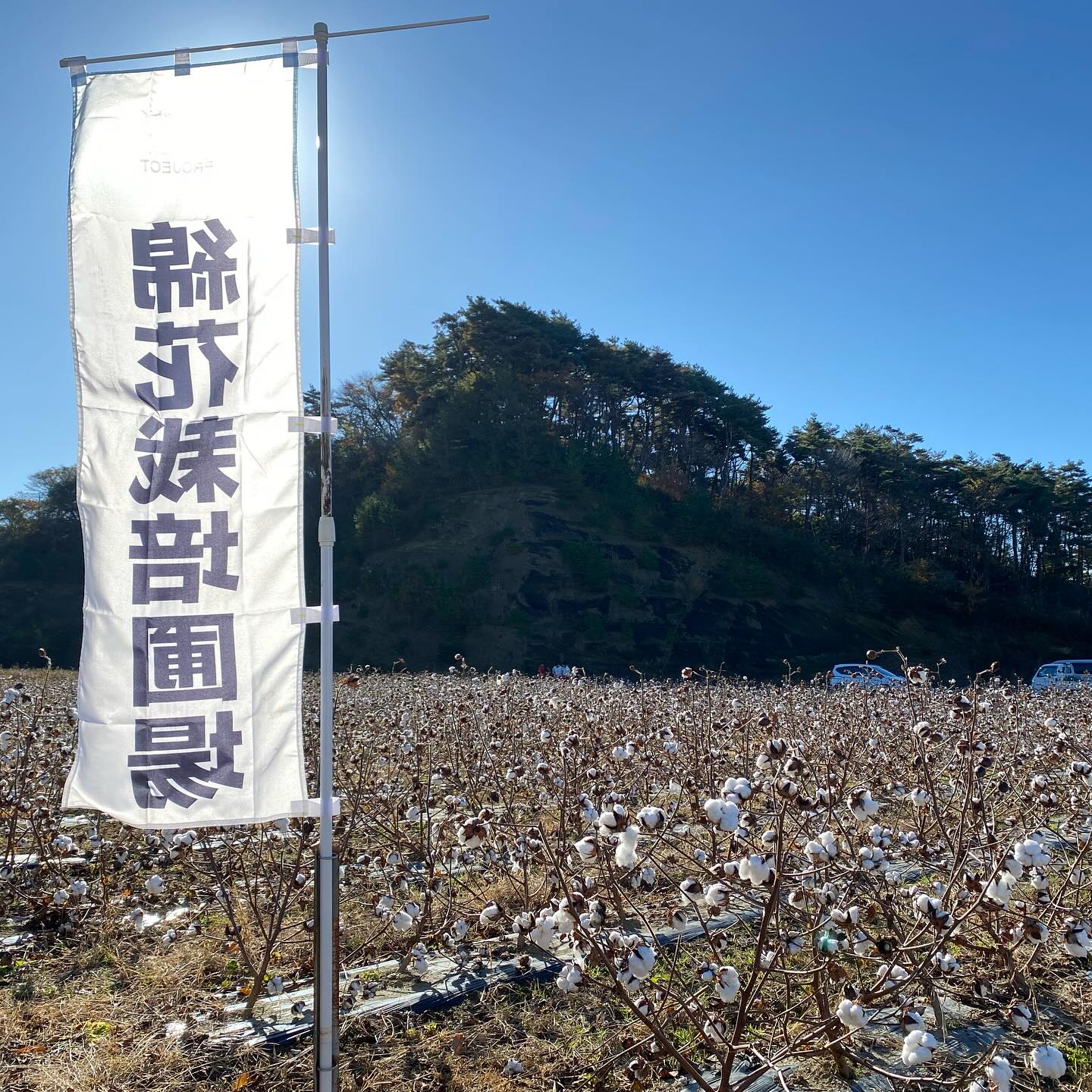 美里町｜粟野敏夫（スカイラークアワノ）