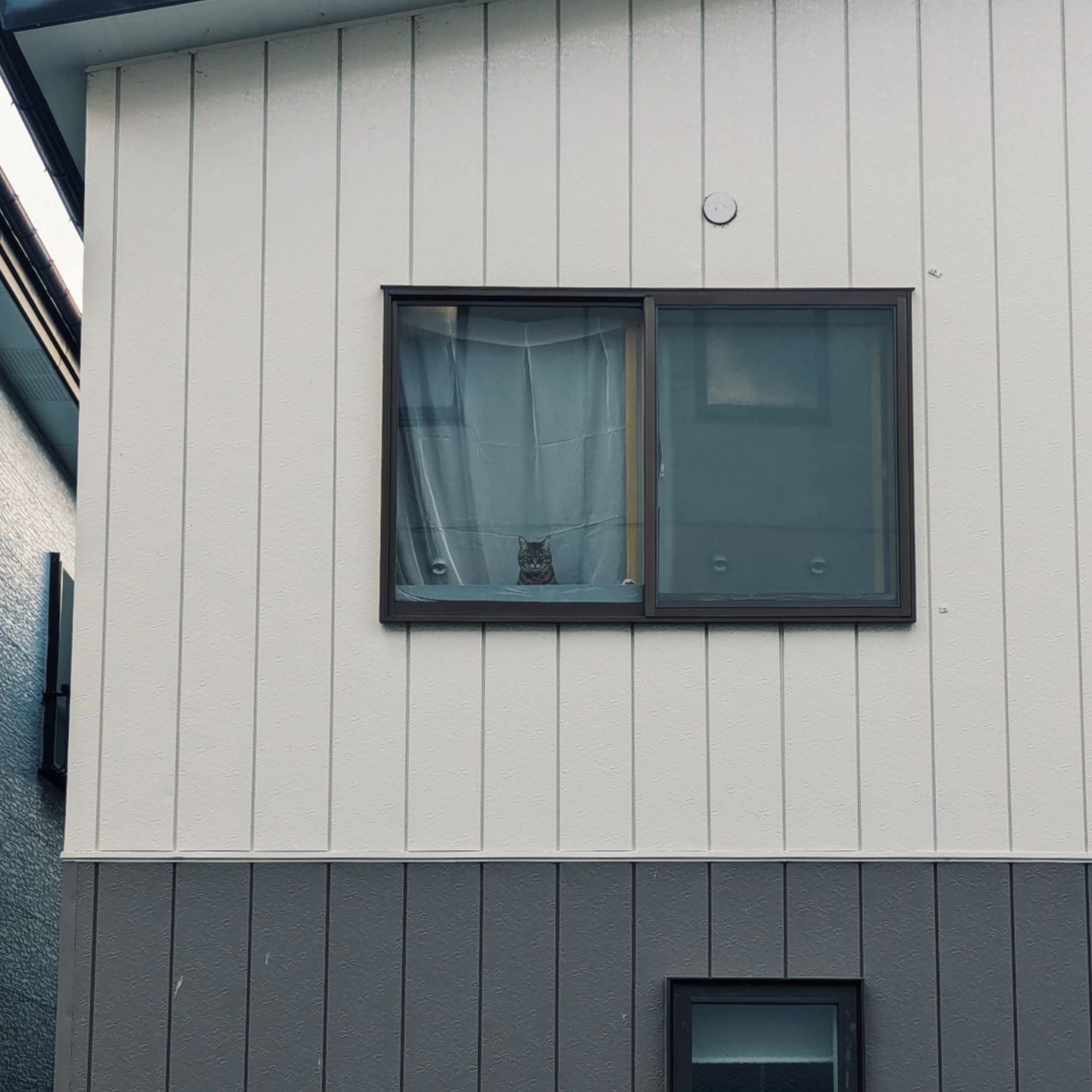 美里町｜tsak_ssk
