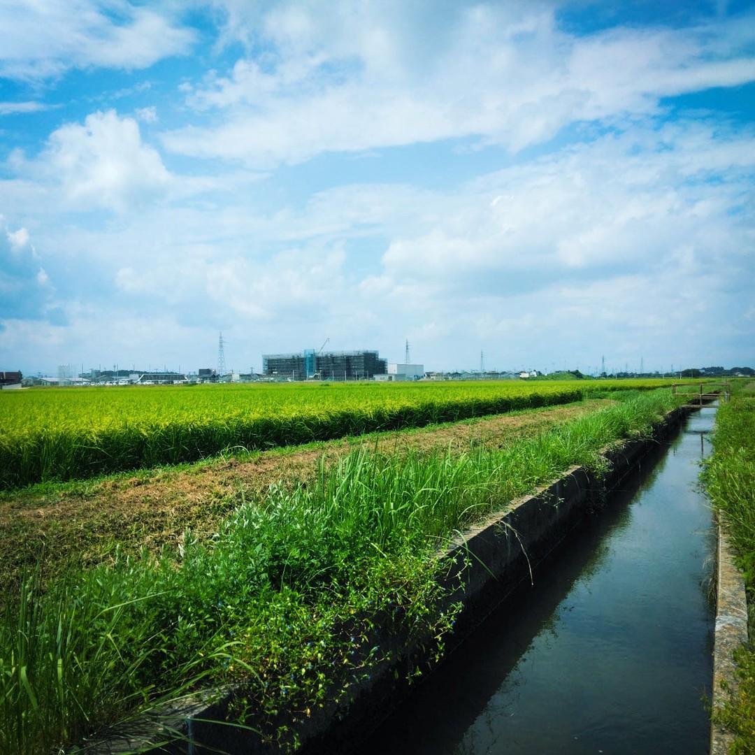 美里町｜國分圭介（見サト管理者）