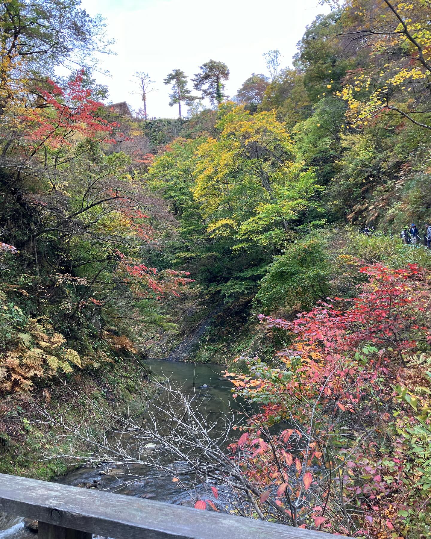 美里町｜やわらか整体サロン みさと
